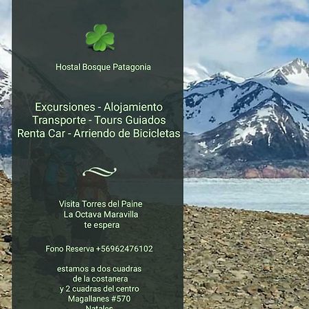 Hostal Bosque Patagonia Puerto Natales Exterior photo